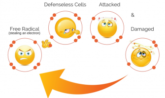 Antioxidants: Nature’s Guardians Against Sugar Damage​