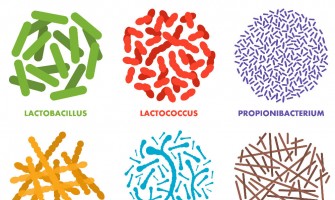 Probiotics: Your Body’s 