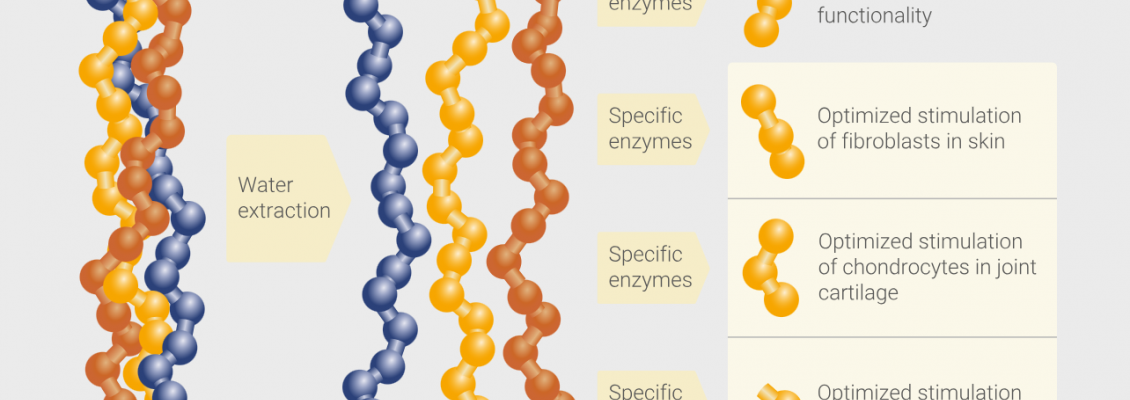 How Amazing Is Collagen Peptide Really?​​