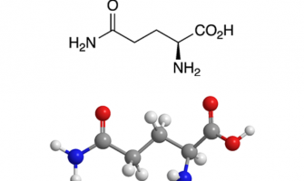 Everything You Need to Know About L-Arginine​