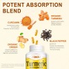 Rasav Turmeric Curcumin Supplement - 95% Curcuminoids with Turmeric & Ginger, Black Pepper for Ultra High Absorption, Support Joint & Digestion Health, Non-GMO, 60 Capsules
