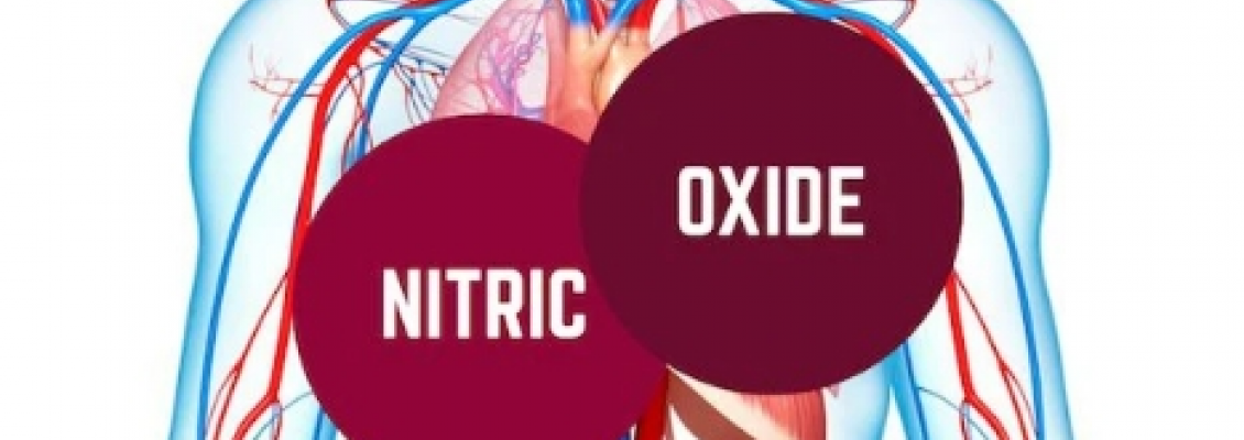 The Benefits of Nitric Oxide (NO) for Cardiovascular Health and Its Production in the Body The Benefits of Nitric Oxide (NO) for Cardiovascular Health and Its Production in the Body