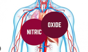 The Benefits of Nitric Oxide (NO) for Cardiovascular Health and Its Production in the Body​